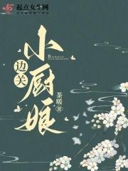边关小厨娘讲的什么