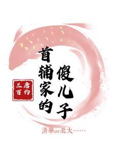 穿成首辅家的小野猫笔趣阁