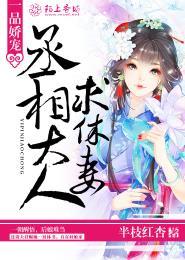 一品娇宠丞相大人求休妻免费阅读