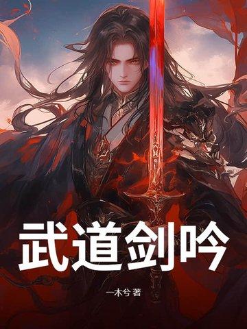 武道剑电视剧