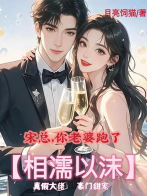 总裁你老婆又跑路了