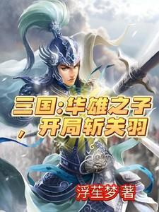 三国关羽斩华雄片段