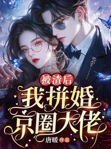 被渣后我拼婚京圈大佬最新章节列表