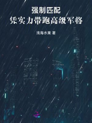 强制匹配系统