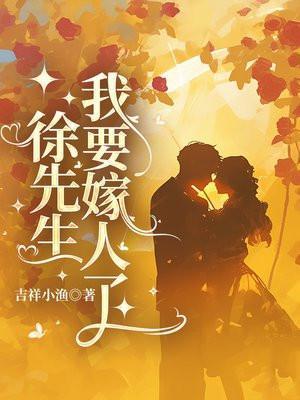 徐先生是什么意思