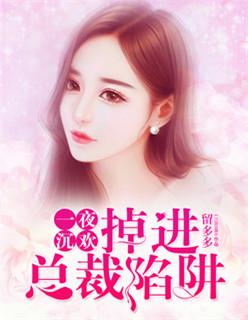 一夜沉婚免费全文阅