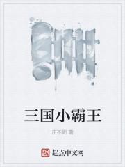 三国小霸王是什么人