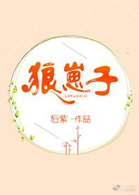 狼崽子父子