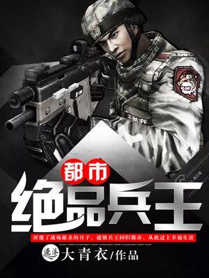 都市极品兵王浩爷