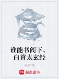 谁能书阁下白首太玄经