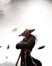 世界第一巨星大致内容