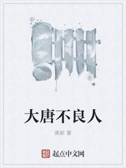 大唐不良人全集
