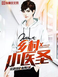 小乡村医仙