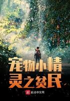 宠物小精灵之贫民评价