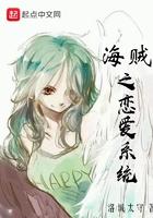海贼之恋爱 系统