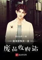 脑海里飘来一座废品收购站顶点