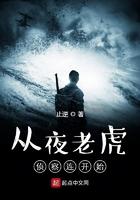 从夜老虎侦察兵开始