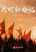 大明新命记顶点