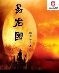 易龙图什么意思