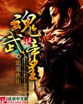 魂武帝神