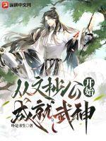从文抄公