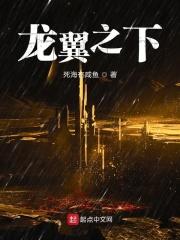 翼龙之耀