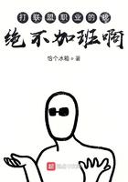 打职业的我拒绝加班