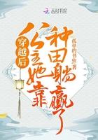 穿越公主种田空间文