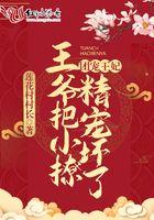 团宠小萌妃王爷心尖宠