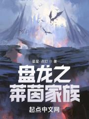 盘龙之成就