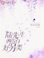 陆先生的深情