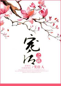 宠后之路内容