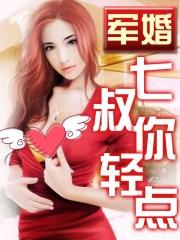 七叔你轻点宠