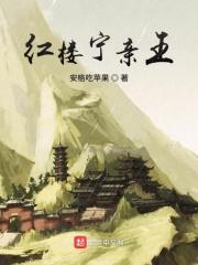 红楼之宁王