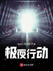 极夜飞行