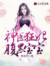 神医宝宝腹黑王妃