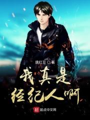 我只是个经纪人po