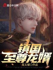 镇国龙婿龙少