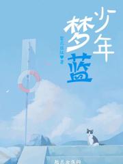 少年梦蓝球