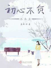 沈先生第二场再约