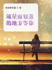 流星划过的那一刻