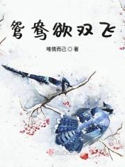 鸳鸯蝶双飞是什么歌名